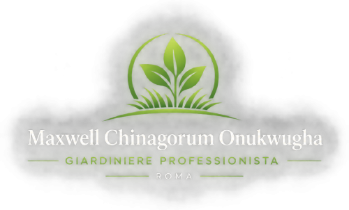 Maxwell Chinagorum Onukwugha